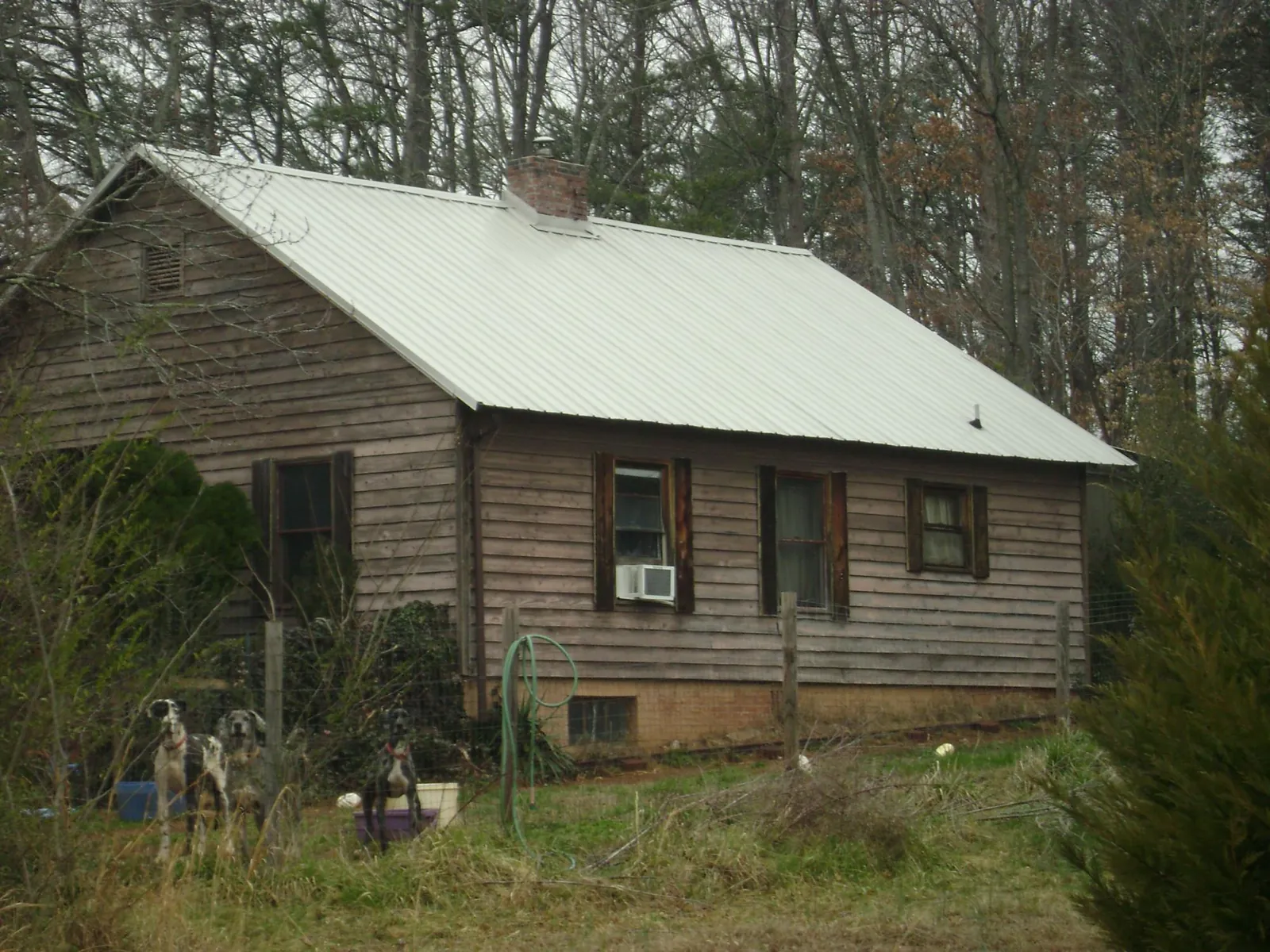 White metal roof on an old wood sided farmhouse, from a Metal Roof Installation job in Tenino